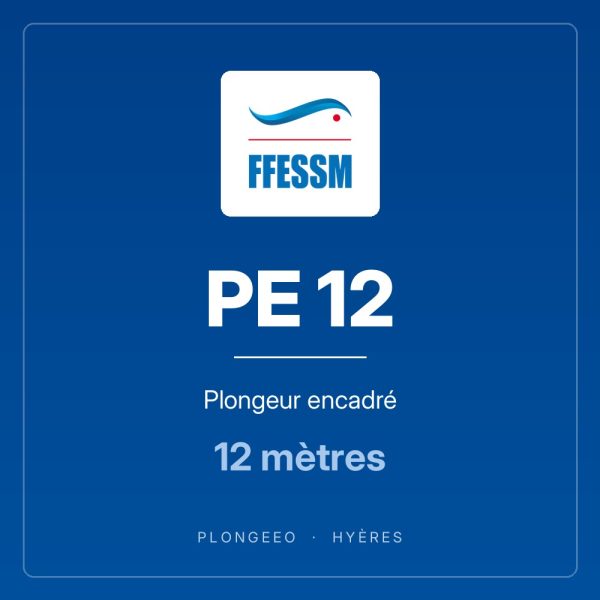 PE 12, plongeur encadré, 12 mètres. PlongeeO à Hyères.