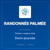 RANDONNÉE PALMÉE, palmes, masque, tuba, demi-journée. PlongeeO à Hyères.