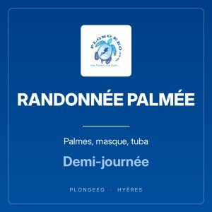 RANDONNÉE PALMÉE — Palmes, masque, tuba RANDONNÉE PALMÉE, palmes, masque, tuba, demi-journée. PlongeeO à Hyères.