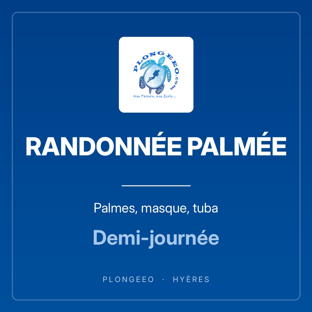 RANDONNÉE PALMÉE, palmes, masque, tuba, demi-journée. PlongeeO à Hyères.