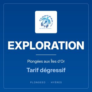 Rayon exploration, PlongeeO