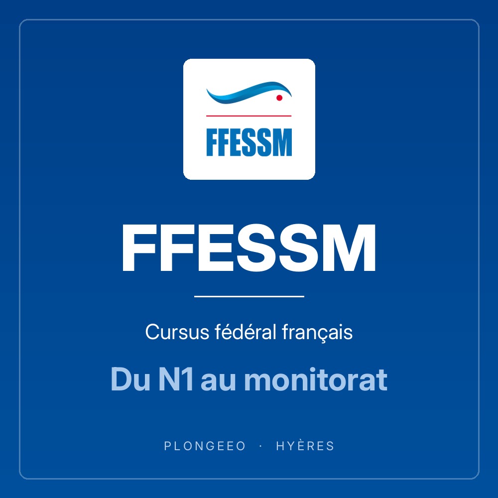 FFESSM, formations de plongée PlongeeO