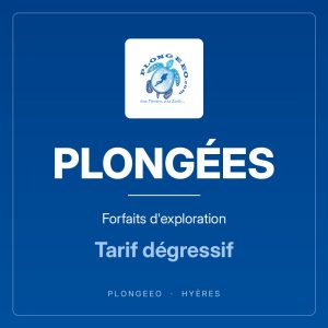 PLONGÉES — Forfaits d'exploration Plongées d'exploration, forfaits, tarif dégressif. PlongeeO à Hyères.