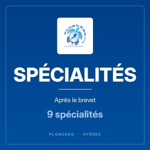 Rayon rayon-specialites Rayon specialites, PlongeeO