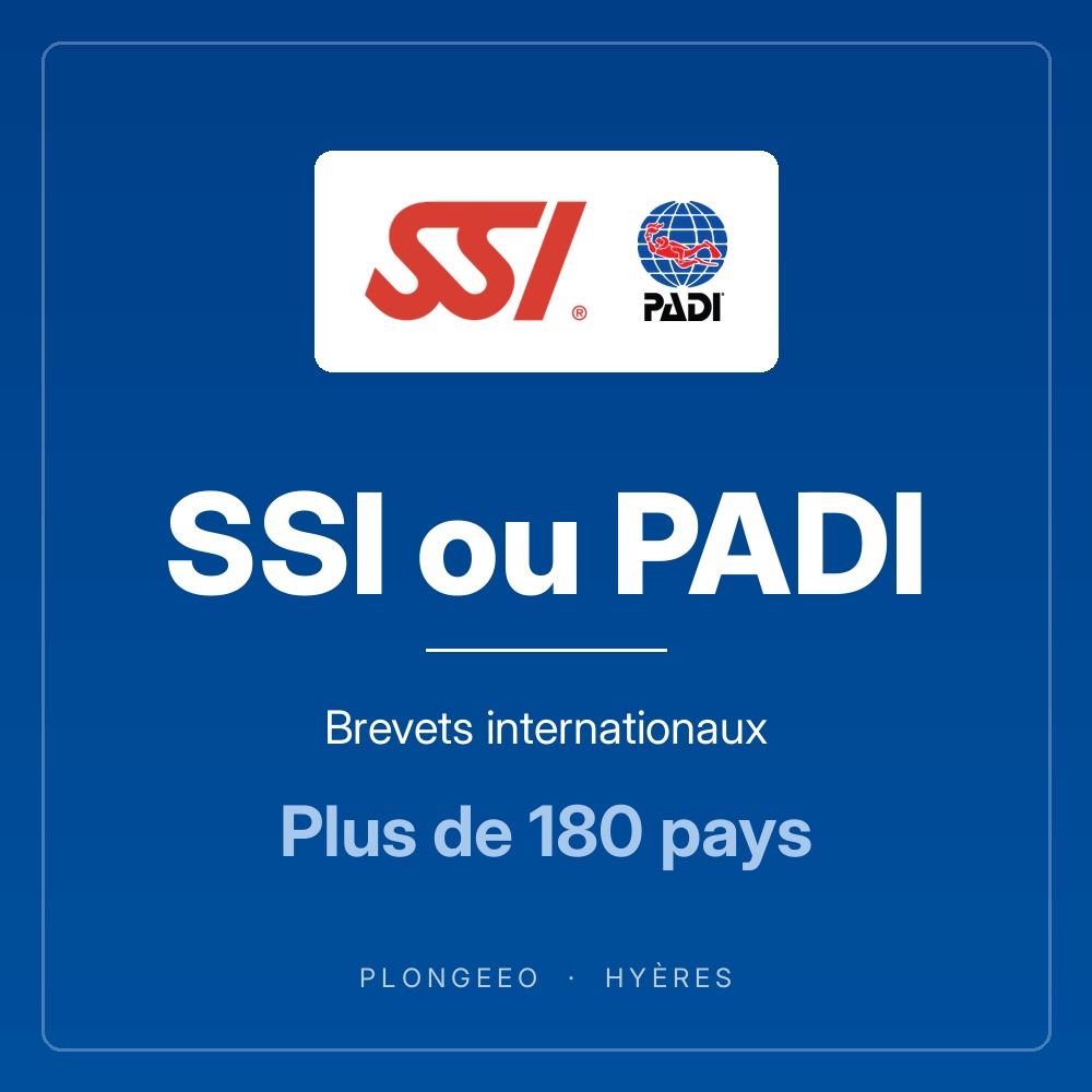 SSI ou PADI, formations de plongée PlongeeO
