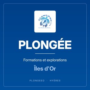 Rayon plongee, PlongeeO