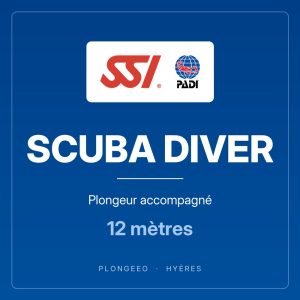 SCUBA DIVER Plongeur accompagné SCUBA DIVER, plongeur accompagné, 12 mètres. PlongeeO à Hyères.