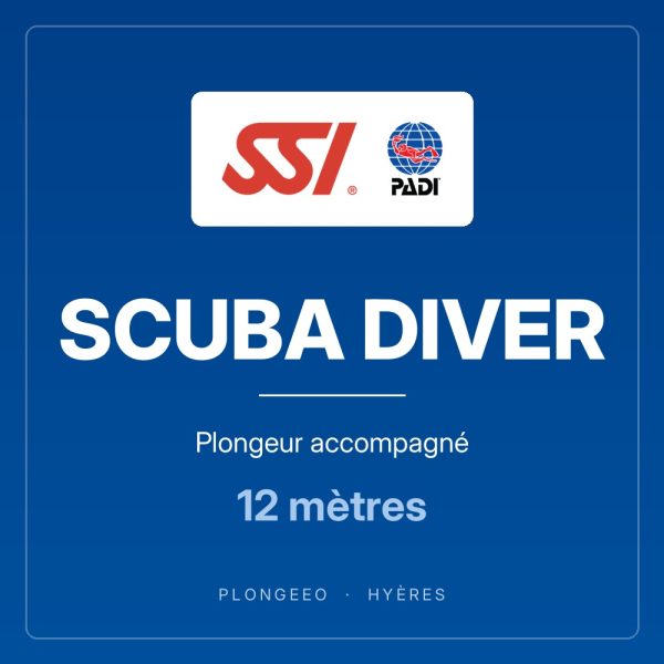 SCUBA DIVER Plongeur accompagné SCUBA DIVER, plongeur accompagné, 12 mètres. PlongeeO à Hyères.