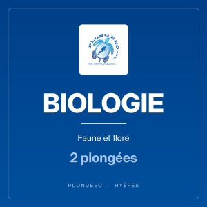BIOLOGIE, faune et flore, 2 plongées. PlongeeO à Hyères.