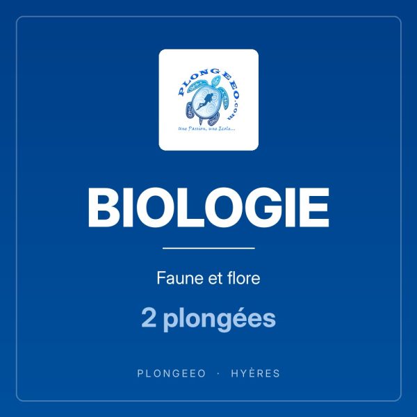 BIOLOGIE, faune et flore, 2 plongées. PlongeeO à Hyères.