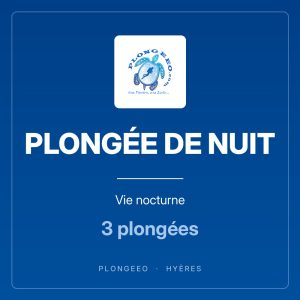 PLONGÉE DE NUIT, vie nocturne, 3 plongées. PlongeeO à Hyères.