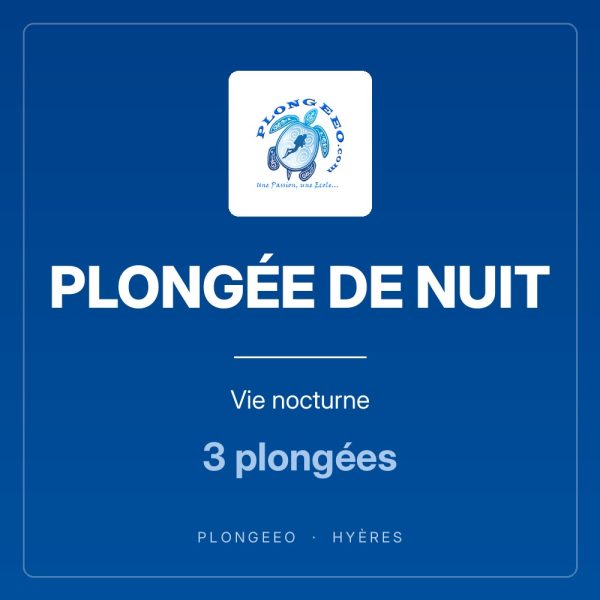 PLONGÉE DE NUIT Vie nocturne PLONGÉE DE NUIT, vie nocturne, 3 plongées. PlongeeO à Hyères.
