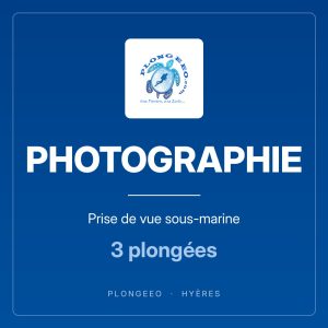PHOTOGRAPHIE, prise de vue sous-marine, 3 plongées. PlongeeO à Hyères.