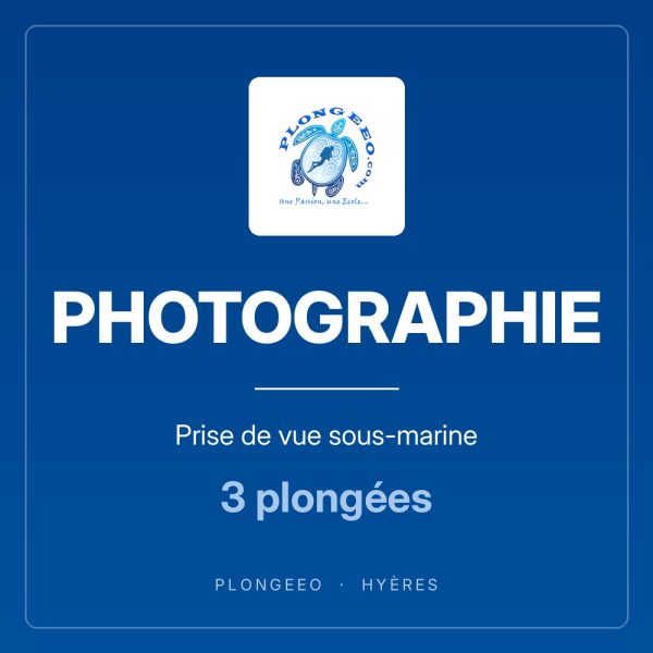 PHOTOGRAPHIE, prise de vue sous-marine, 3 plongées. PlongeeO à Hyères.