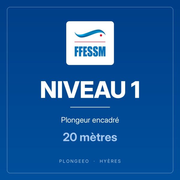 NIVEAU 1 Plongeur encadré NIVEAU 1, plongeur encadré, 20 mètres. PlongeeO à Hyères.
