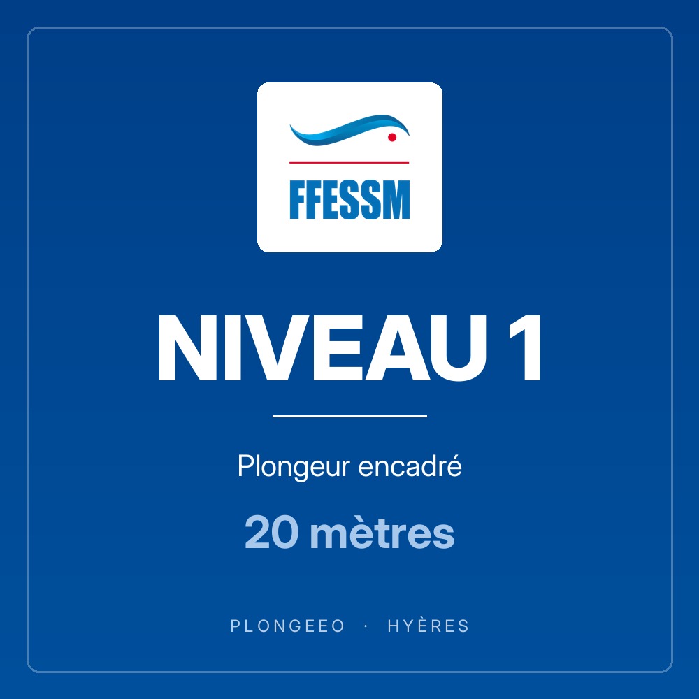 NIVEAU 1, plongeur encadré, 20 mètres. PlongeeO à Hyères.